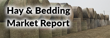 Hay & Bedding Market Report